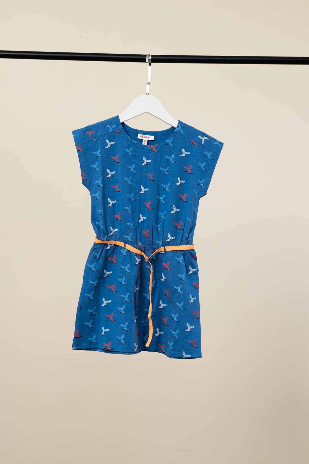 Girl's Blue Dress