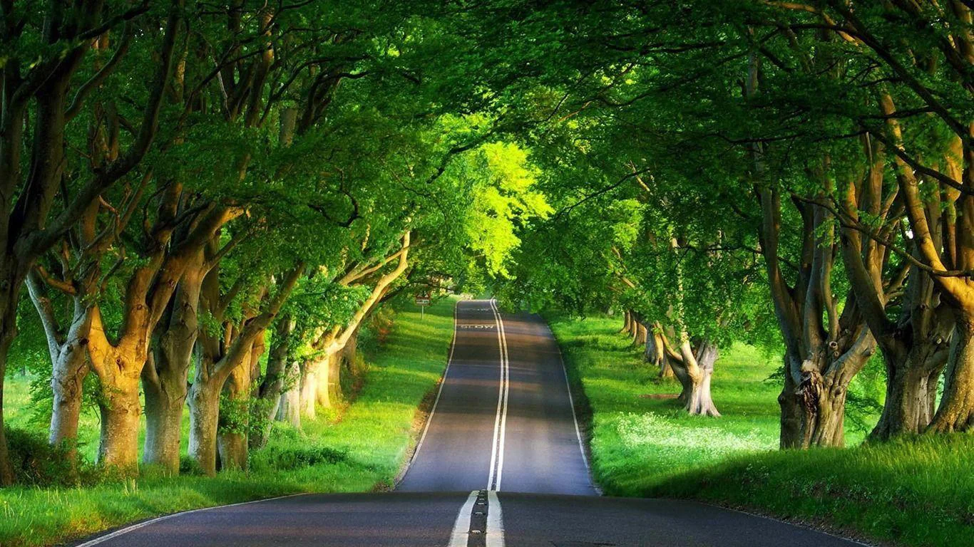 Our commitment to sustainability